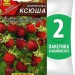 Семена Земляника альпийская Ксюша, 2 пакетика по 0,04г/100шт
