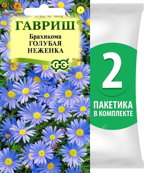 Семена Брахикома иберисолистная Голубая Неженка, 2 пакетика по 0,02г/100шт