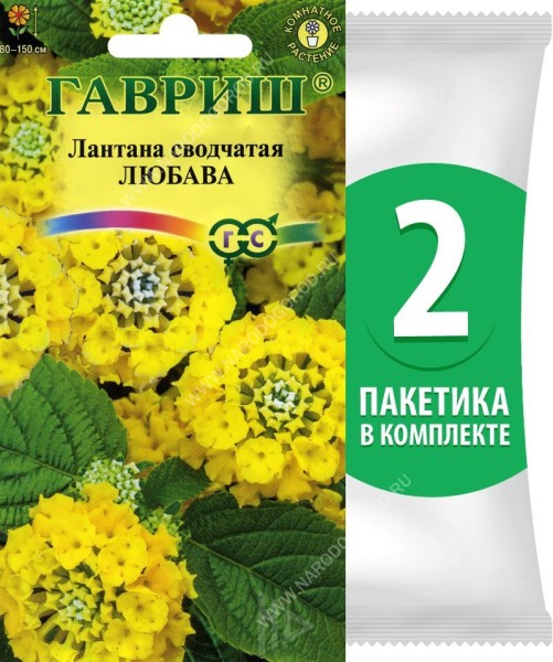 Семена Лантана сводчатая Любава, 2 пакетика по 0,1г/4шт