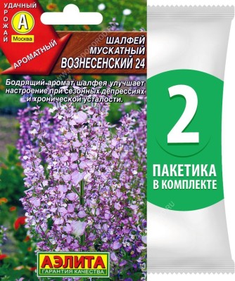 Семена Шалфей мускатный Вознесенский 24, 2 пакетика по 0,2г/35шт в каждом