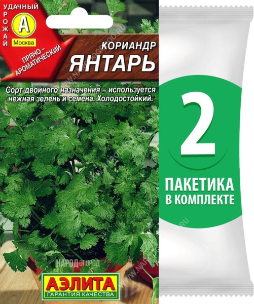 Семена Кориандр овощной Янтарь, 2 пакетика по 3г