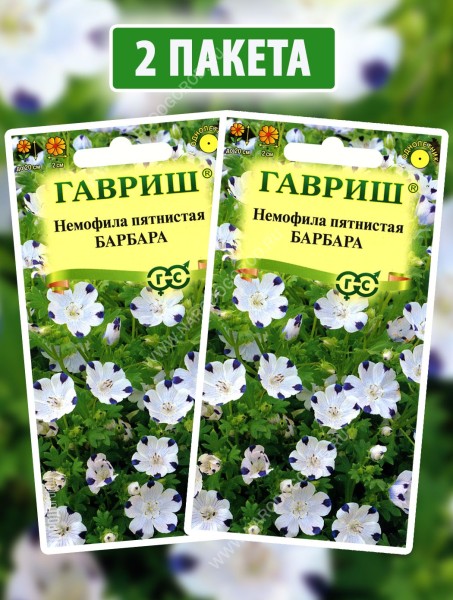 Семена Немофила пятнистая Барбара, 2 пакетика по 0,3г