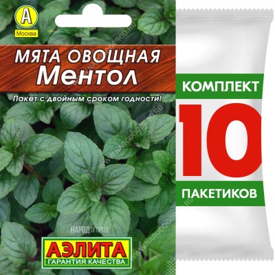 Семена Мята овощная Ментол, 10 пакетиков по 0,04г
