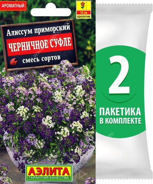 Семена Алиссум приморский Черничное Суфле смесь сортов (растение-медонос), 2 пакетика по 0,05г/120шт в каждом