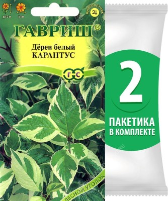 Семена Дерен белый Карантус, 2 пакетика по 0,1г/4шт