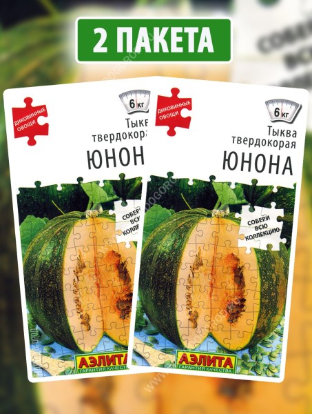 Семена Тыква твердокорая Юнона, 2 пакетика по 1г