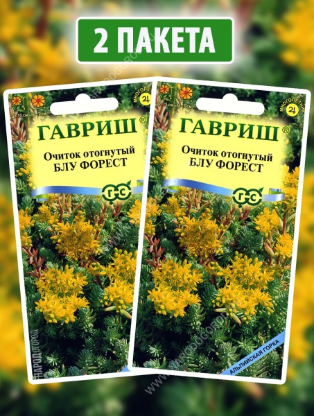 Семена Очиток отогнутый седум Блу Форест, 2 пакетика по 0,01г