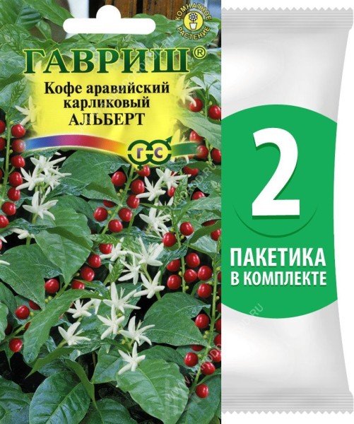 Семена Кофе аравийский карликовый Альберт (кофейное дерево), 2 пакетика по 5шт