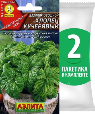 Семена Базилик овощной среднеспелый Хлопец Кучерявый, 2 пакетика по 0,3г/150шт
