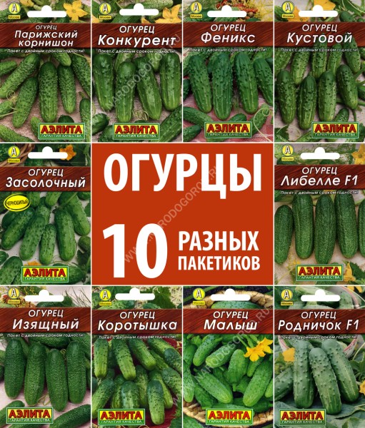Набор семян овощей Огурцы пчелоопыляемые, 10 пакетиков