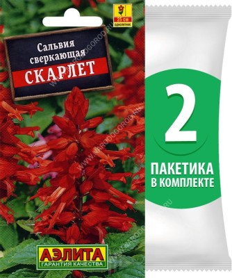 Семена Сальвия сверкающая Скарлет, 2 пакетика по 0,1г/25шт