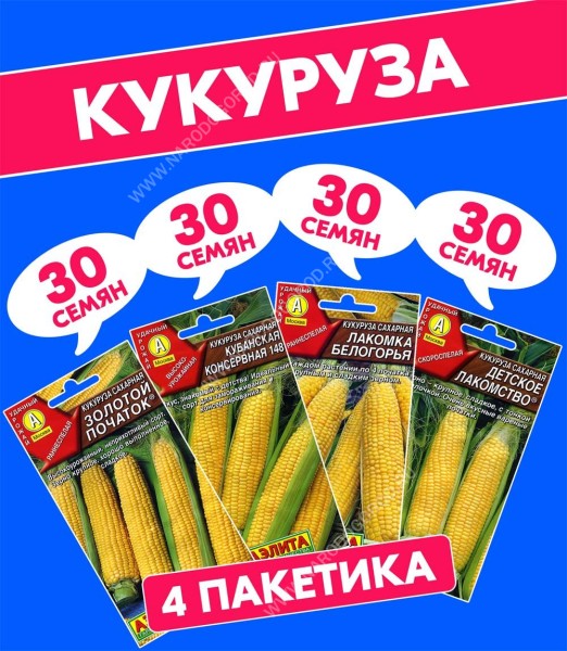 Семена овощей Кукуруза сахарная Детское лакомство + Золотой Початок + Кубанская Консервная 148 + Лакомка Белогорья, 4 разных пакетика