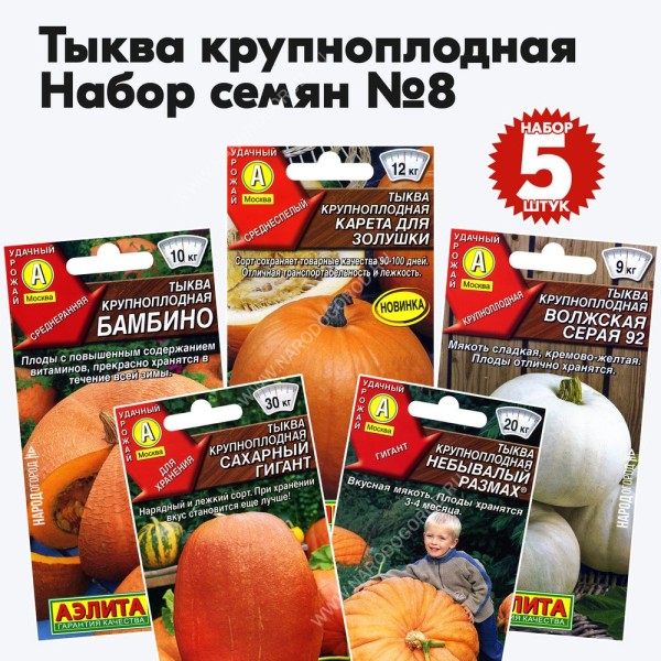 Семена тыквы для посадки крупноплодные сорта - набор №8, комплект 5 пакетиков