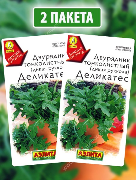 Семена Двурядник тонколистный (дикая руккола) Деликатес, 2 пакетика по 0,2г