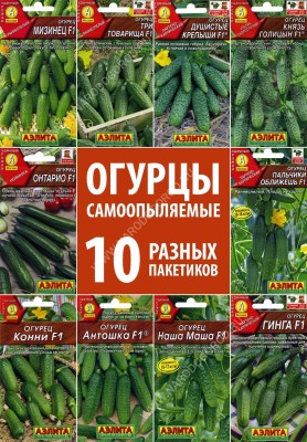 Набор семян овощей Огурцы партенокарпические (самоопыляемые), 10 пакетиков