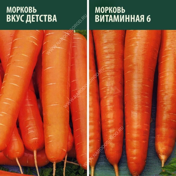 Семена Морковь на ленте Витаминная + Вкус детства (2 пакетика)