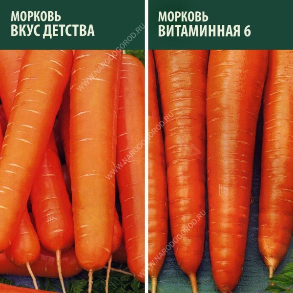 Семена Морковь на ленте Витаминная + Вкус детства (2 пакетика)