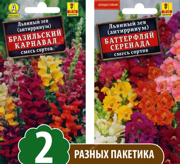 Семена Львиный зев (антирринум) Баттерфляй Серенада + Бразильский Карнавал, 2 разных пакетика