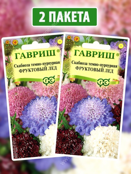 Семена Скабиоза темно-пурпурная Фруктовый Лед, 2 пакетика по 0,2г