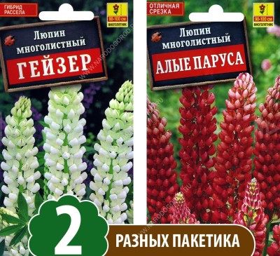 Семена Люпин многолистный Алые Паруса + Люпин Гейзер, 2 разных пакетика