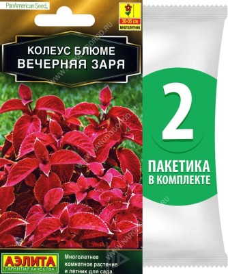 Семена Колеус блюме Вечерняя Заря, 2 пакетика по 10шт