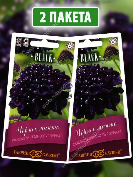 Семена Скабиоза темно-пурпурная Черное Манто, 2 пакетика по 0,2г
