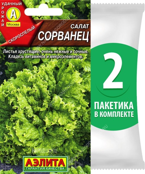 Семена Салат листовой Сорванец, 2 пакетика по 0,5г