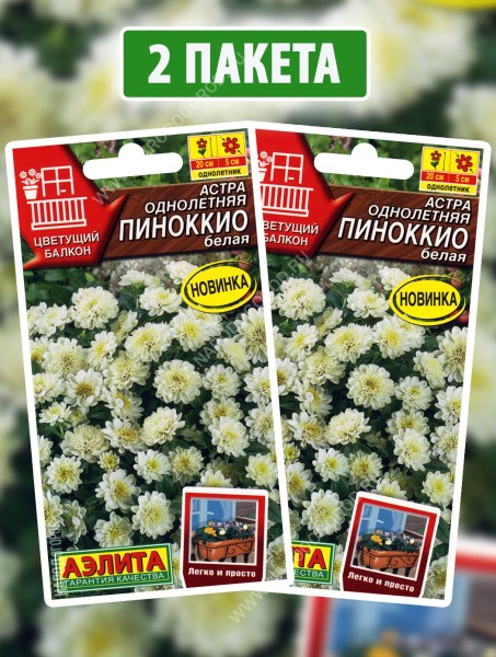 Семена Астра Пиноккио Белая, 2 пакетика по 0,05г