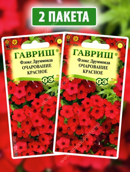 Семена Флокс Друммонда Очарование Красное, 2 пакетика по 0,05г