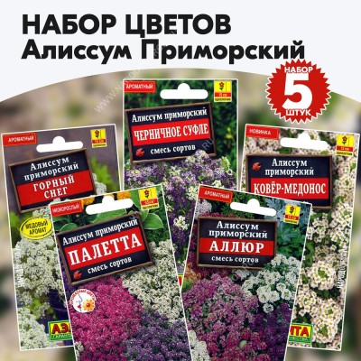 Семена цветов Алиссум Приморский - набор 5 пакетиков