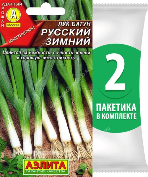 Семена Лук батун Русский Зимний, 2 пакетика по 0,5г