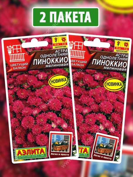 Семена Астра Пиноккио Малиновая, 2 пакетика по 0,05г