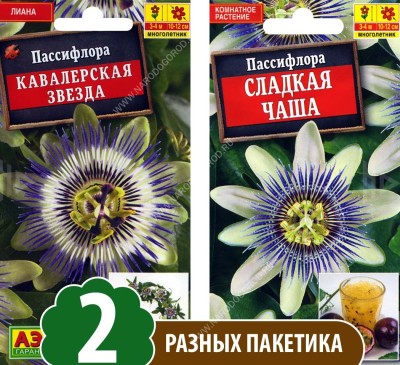 Семена Пассифлора (пурпурная гранадилла или маракуйя, страстоцвет) Кавалерская звезда + Пассифлора Сладкая чаша, 2 разных пакетика