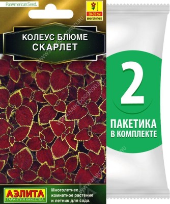 Семена Колеус блюме Скарлет, 2 пакетика по 10шт