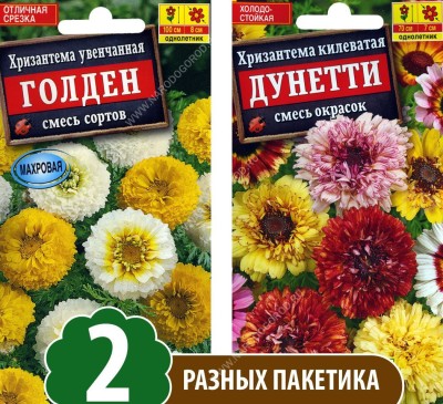 Семена Хризантема махровая килеватая Дунетти + увенчанная Голден Увенчанная, 2 разных пакетика