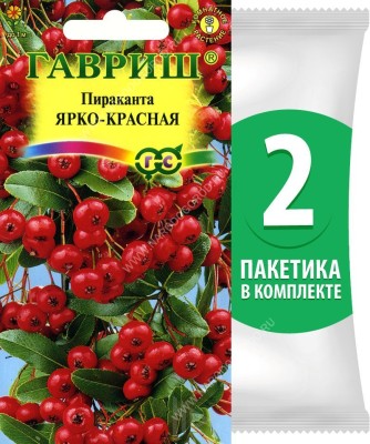 Семена Пираканта Ярко-красная, 2 пакетика по 5шт