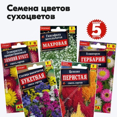 Семена цветов сухоцветов (гелихризум, статица, целозия, гипсофила, гелиптерум) - 5 пакетиков