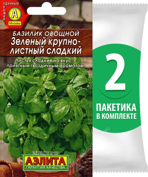 Семена Базилик овощной Зеленый Крупнолистный Сладкий, 2 пакетика по 0,3г