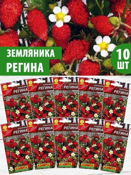 Семена Земляника ремонтантная Регина, 10 пакетиков по 0,04г/100шт