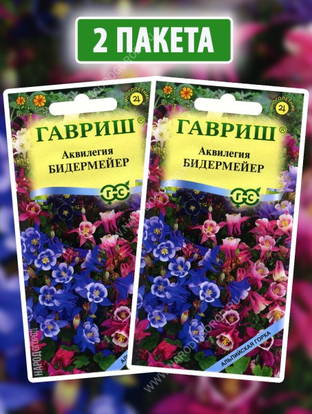 Семена Аквилегия водосбор Бидермейер, 2 пакетика по 0,05г