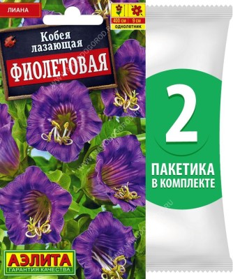 Семена Кобея лазающая Фиолетовая, 2 пакетика по 0,45г/5шт