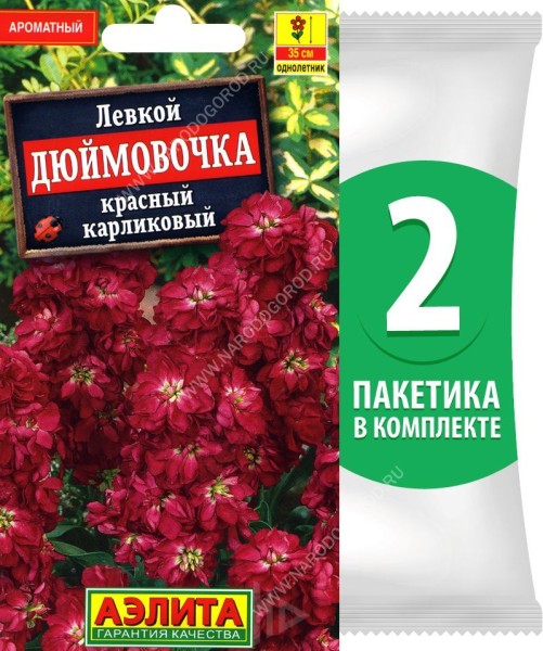 Семена Левкой карликовый (маттиола) Дюймовочка Красный, 2 пакетика по 0,1г/100шт в каждом