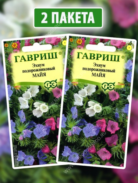 Семена Эхиум Майя, 2 пакетика по 0,2г