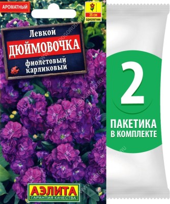 Семена Левкой карликовый (маттиола) Дюймовочка Фиолетовый, 2 пакетика по 0,1г/35шт в каждом
