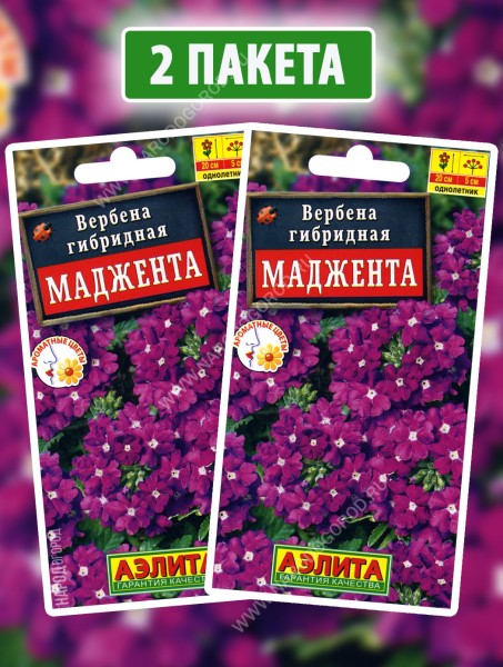 Семена Вербена Маджента, 2 пакетика по 10шт