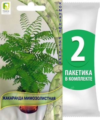 Семена Жакаранда мимозолистная Комнатные растения, 2 пакетика по 5шт