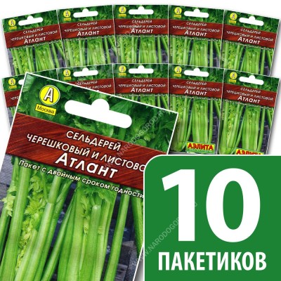 Семена Сельдерей черешковый и листовой для посадки Атлант, 10 пакетиков по 0,5г