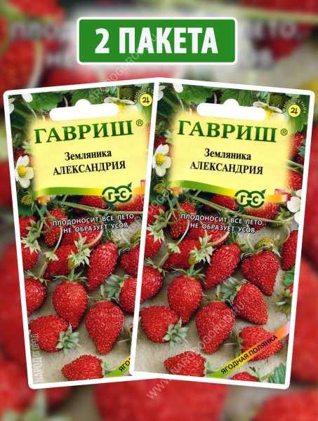 Семена Земляника ремонтантная Александрия, 2 пакетика по 0,03г