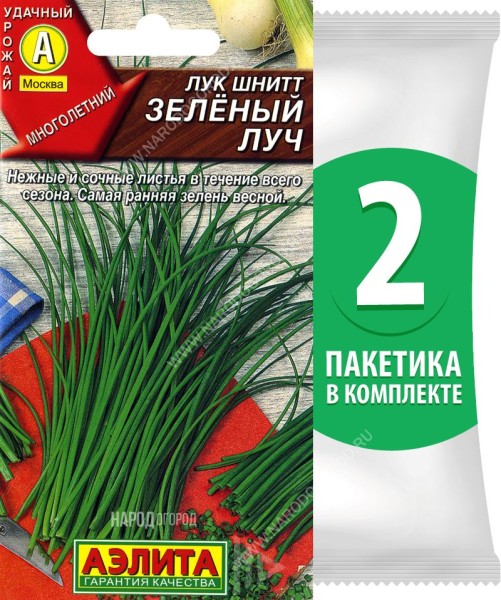 Семена Лук шнитт Зеленый Луч, 2 пакетика по 0,5г/350шт