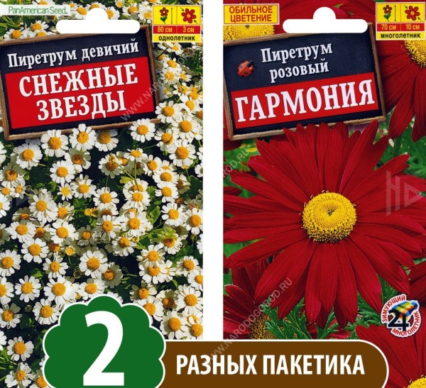 Семена Пиретрум перистый Гармония + Пиретрум девичий Снежные Звезды, 2 разных пакетика